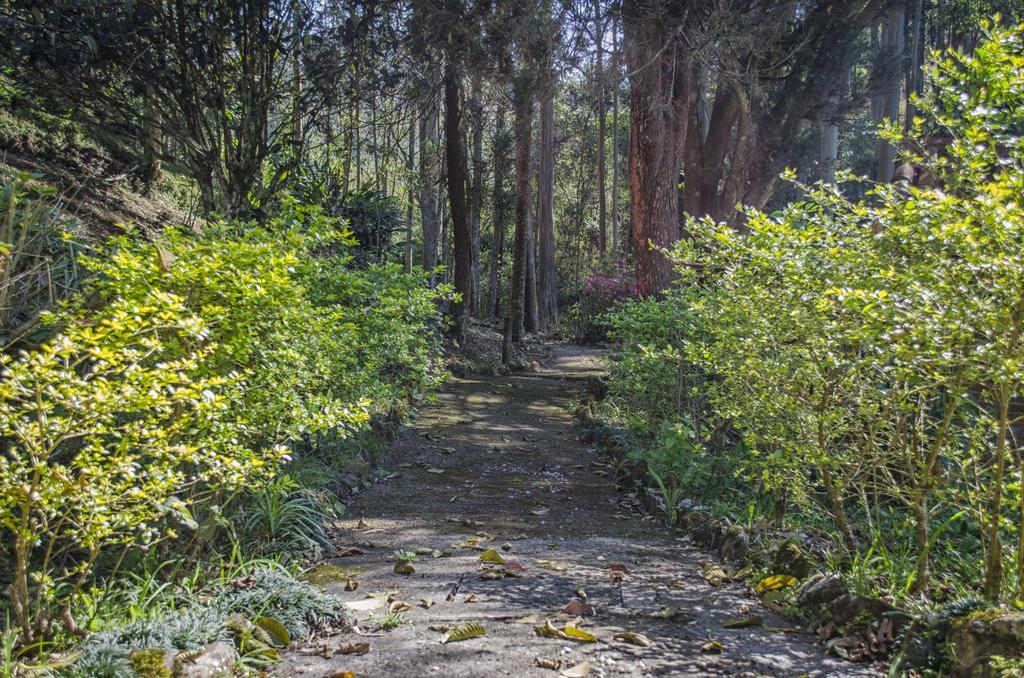 Pousada A Casa Da Fazenda Santo Antônio do Pinhal Exteriör bild
