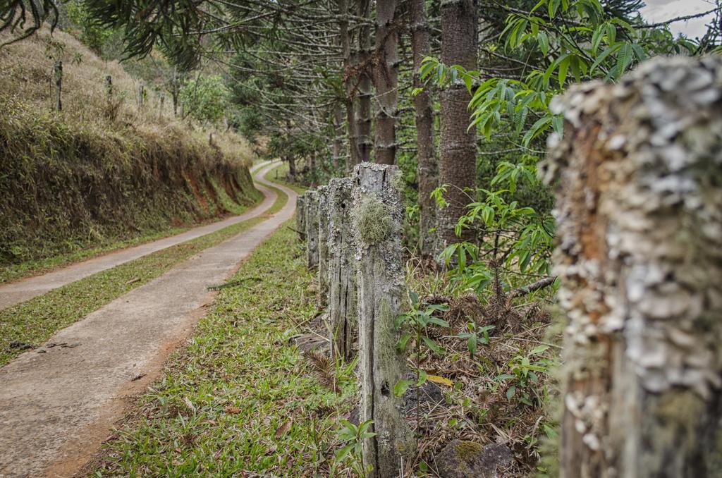Pousada A Casa Da Fazenda Santo Antônio do Pinhal Exteriör bild